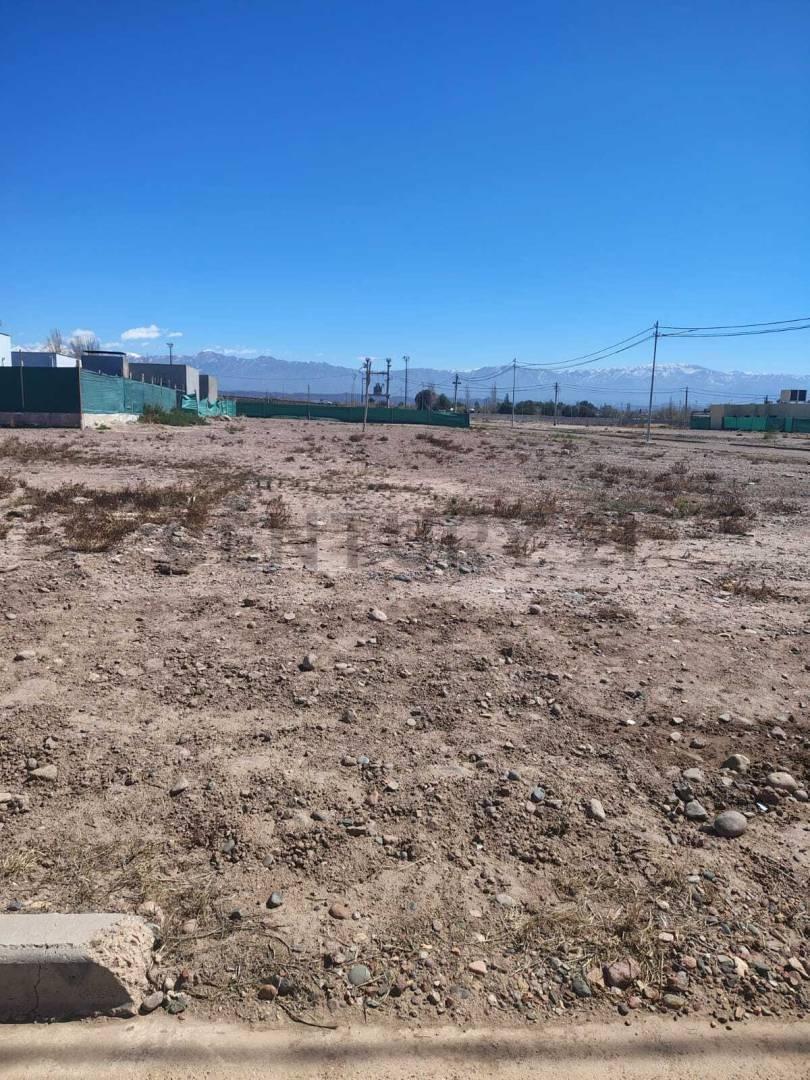 Foto de LOTE EN PINAR DEL SOL 9 - MAIPU MENDOZA, imagen 2