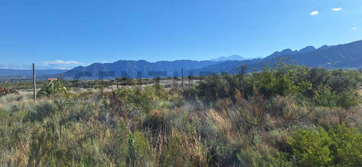 Foto de LOTE EN VENTA BLANCO ENCALADA, imagen 5