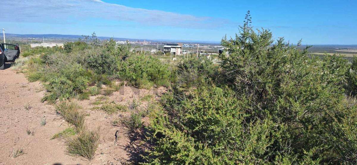 Foto de LOTE EN VENTA BLANCO ENCALADA, imagen 4