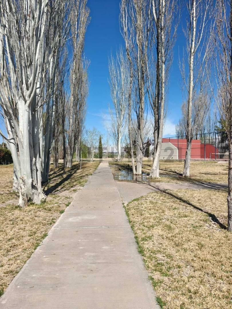 Foto de LOTE EN VENTA ALAMOS BARRIO PRIVADO, imagen 5