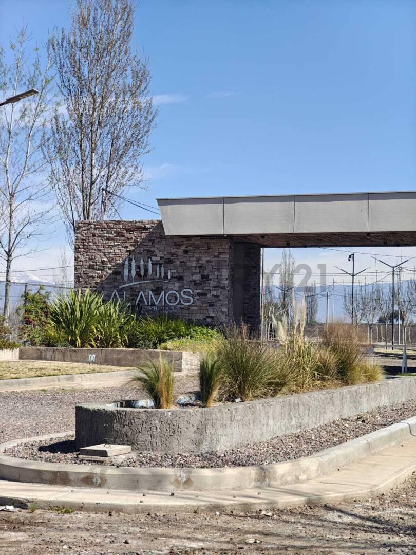 Foto de LOTE EN VENTA ALAMOS BARRIO PRIVADO, imagen 1