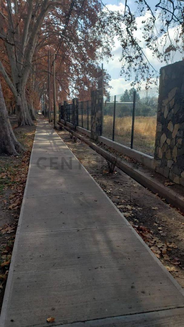 Foto de VENTA DE LOTE EN LA CARLOTTA, imagen 5