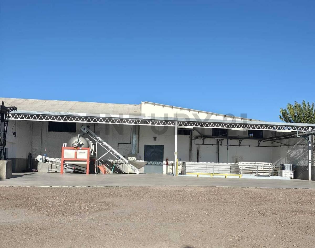 Foto de BODEGA EN VENTA – JUNÍN, MENDOZA | INFRAESTRUCTURA RENOVADA Y, imagen 2