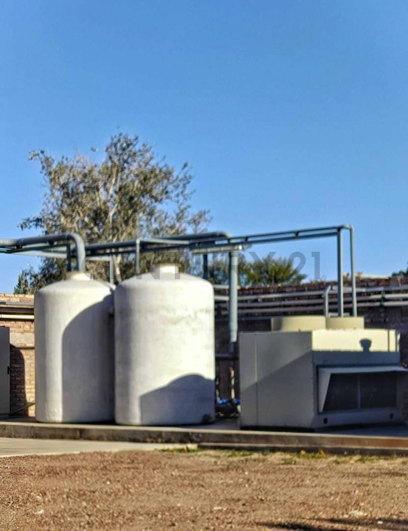 Foto de BODEGA EN VENTA – JUNÍN, MENDOZA | INFRAESTRUCTURA RENOVADA Y, imagen 4