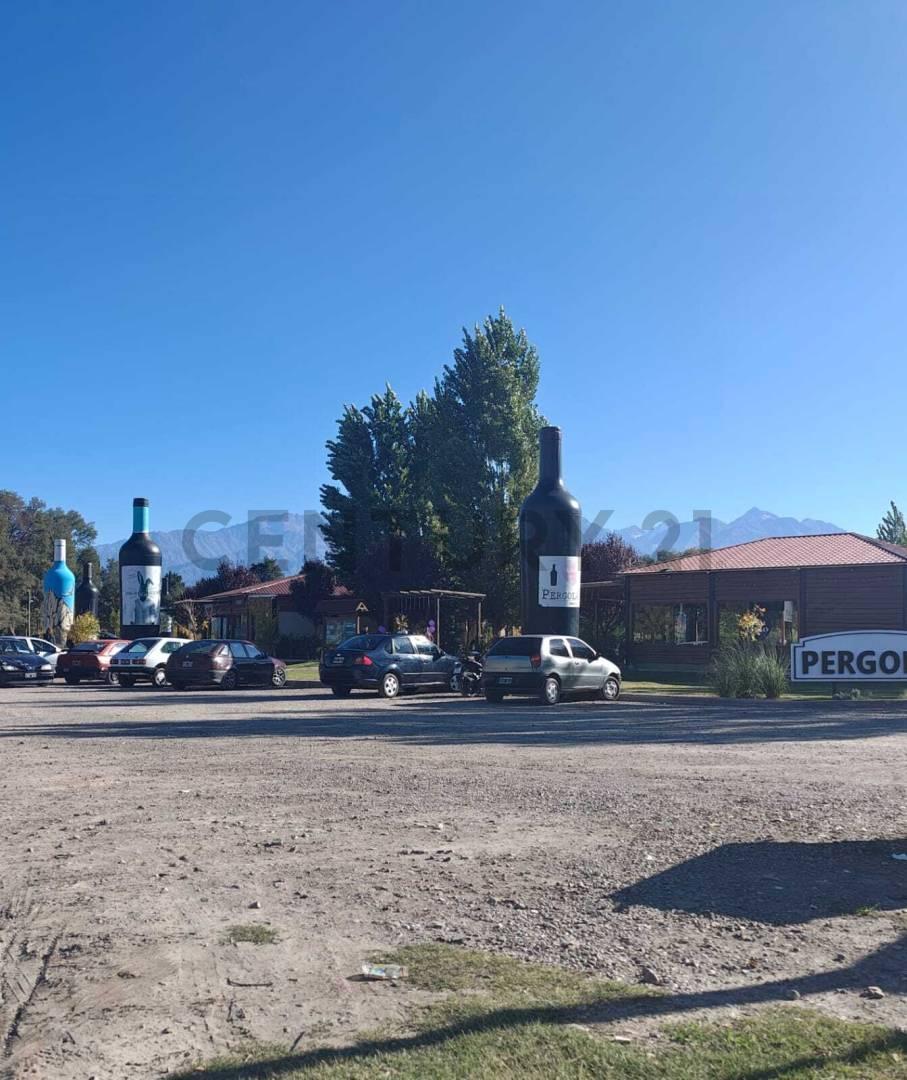 Foto de VENTA FINCA 7,08 HA – VISTA FLORES, TUNUYÁN (VALLE DE UCO), imagen 3