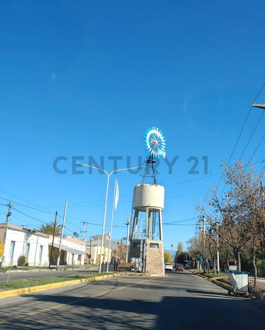 Foto de VENTA FINCA 7,08 HA – VISTA FLORES, TUNUYÁN (VALLE DE UCO), imagen 2