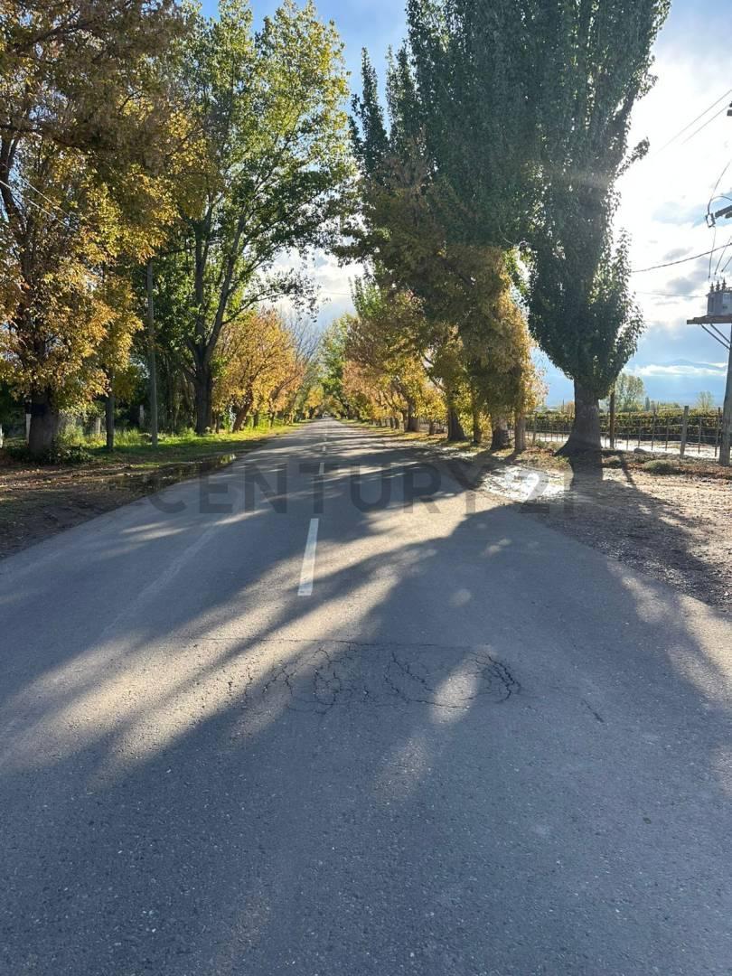 Foto de VENTA FINCA 7,08 HA – VISTA FLORES, TUNUYÁN (VALLE DE UCO), imagen 4