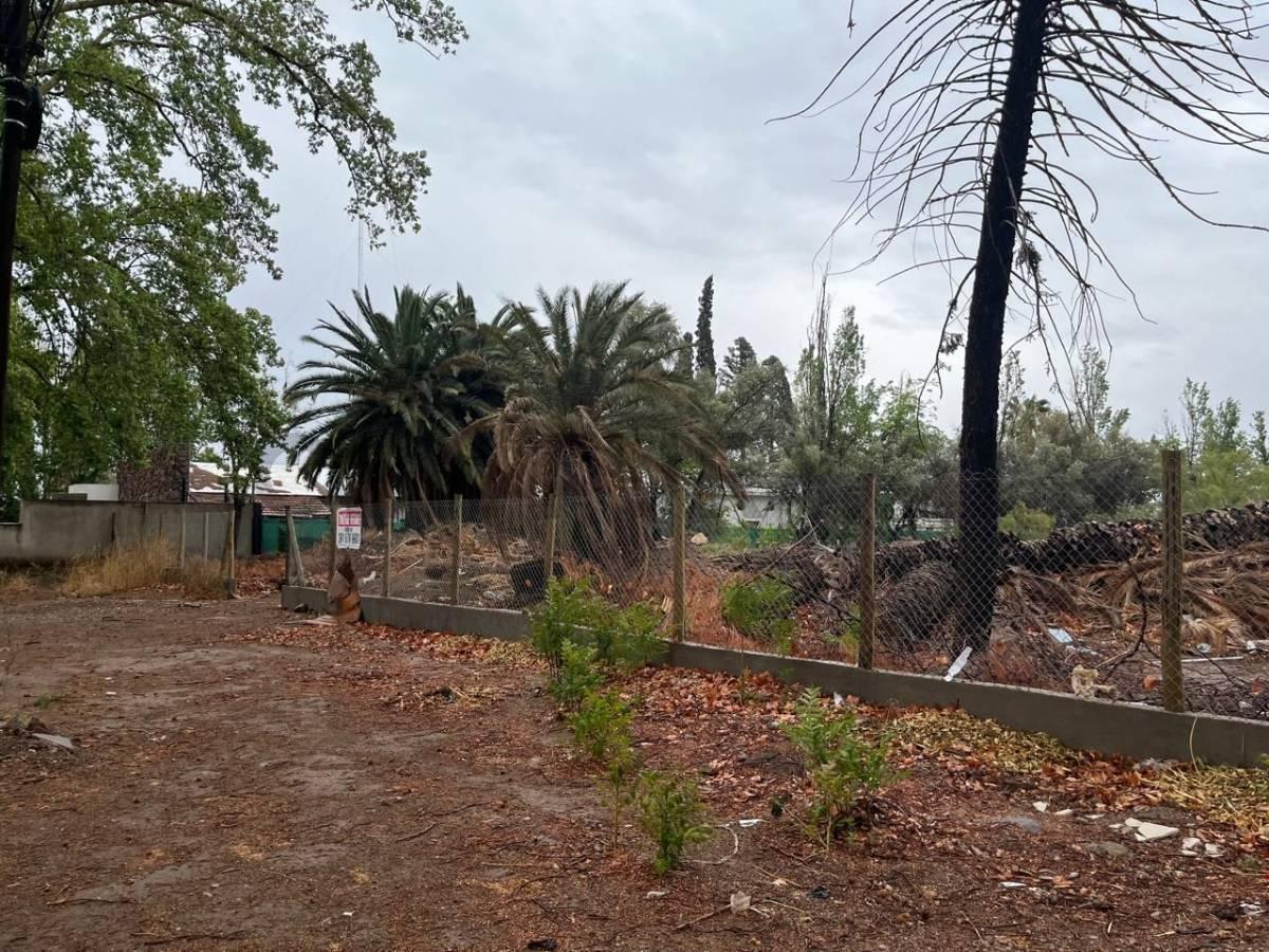 Foto de Lote en venta, imagen 3
