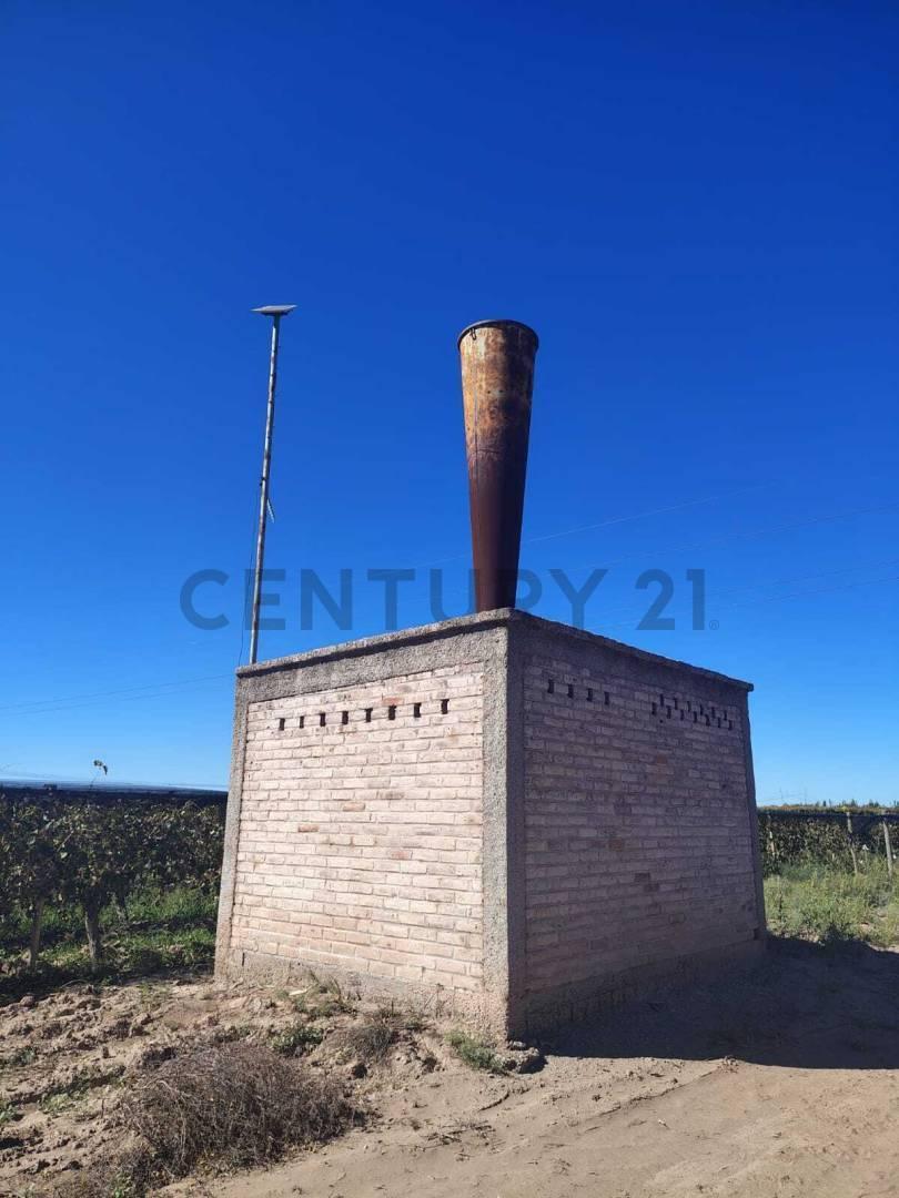 Foto de Finca Productiva en venta en Mendoza Maipu, imagen 4