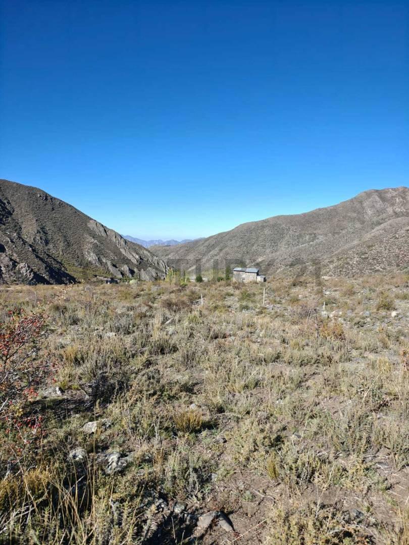 Foto de VENTA LOTE 2,6 HECTAREAS – CAMINO A VALLECITOS, POTRERILLOS, imagen 4