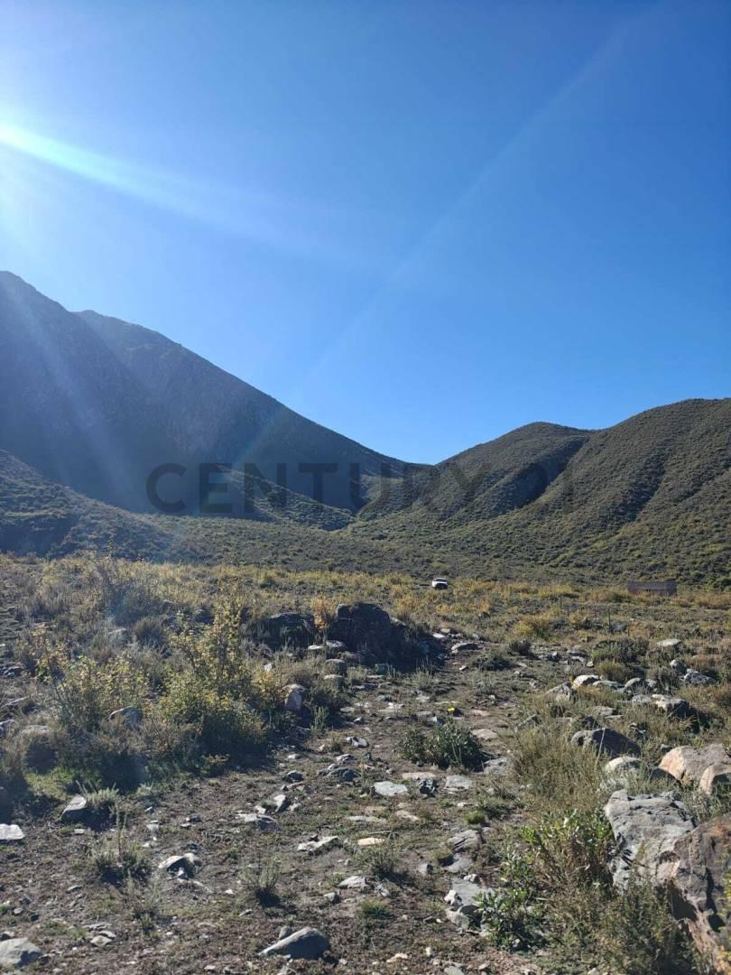 Foto de VENTA LOTE 2,6 HECTAREAS – CAMINO A VALLECITOS, POTRERILLOS, imagen 5