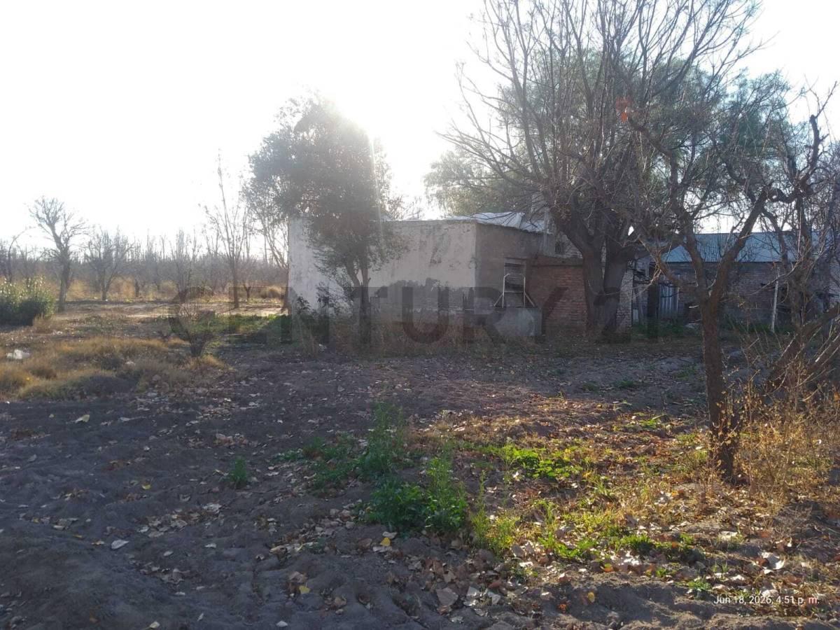 Foto de Venta de Finca en General Alvear. Productiva, imagen 1
