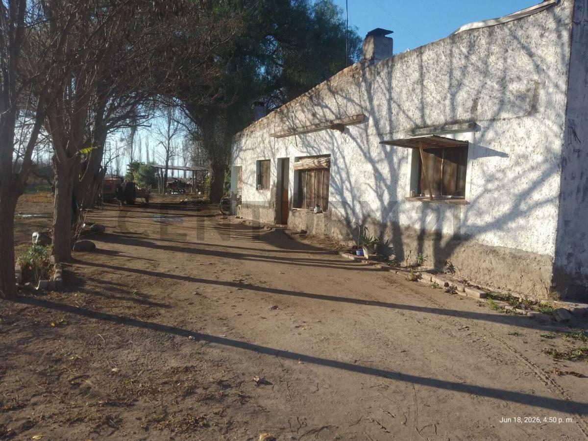 Foto de Venta de Finca en General Alvear. Productiva, imagen 4