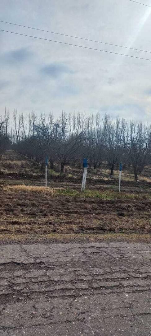 Foto de Venta de Finca en General Alvear. Productiva, imagen 3