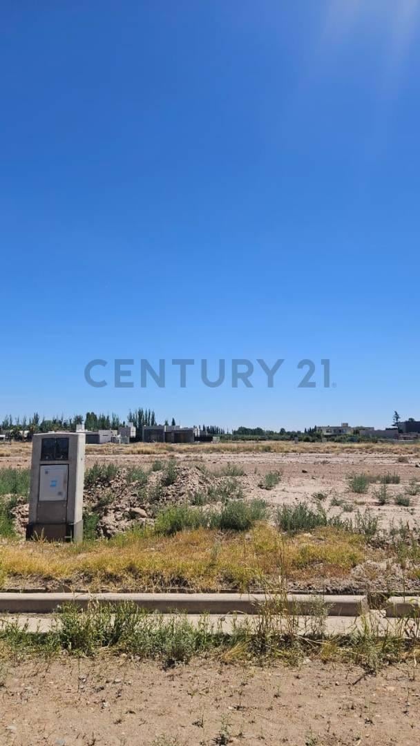 Foto de LOTE EN VENTA COMPLEJO RESIDENCIAL CARRASCAL, imagen 3