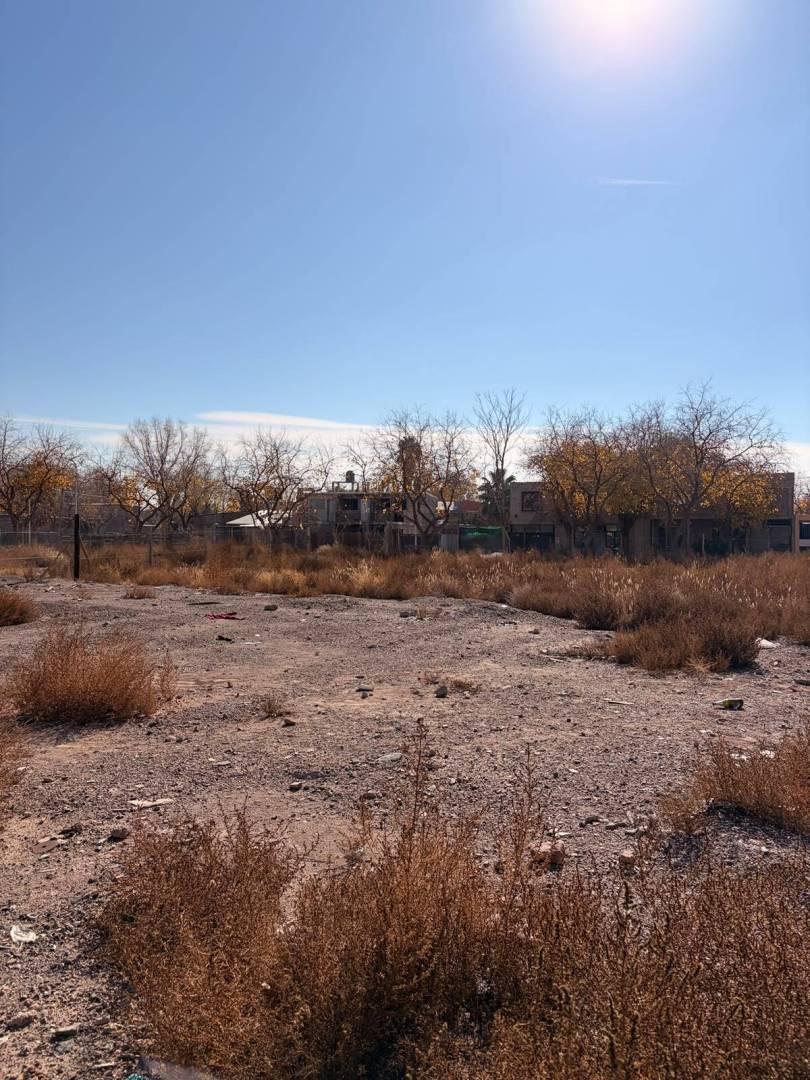 Foto de LOTES EN EL ZAPALLAR, imagen 2