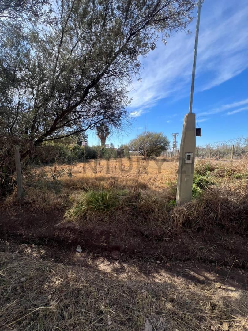 Foto de Lote en GUARDIA VIEJA, imagen 3