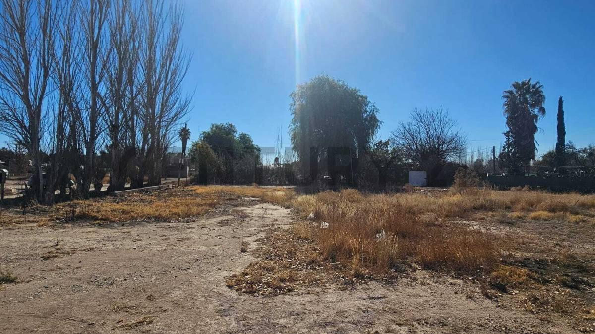 Foto de OPORTUNIDAD LOTE EN VENTA en SAN MARTIN Mendoza, imagen 1
