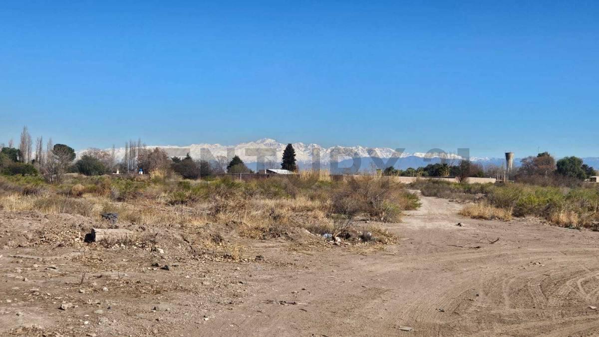 Foto de OPORTUNIDAD LOTE EN VENTA en SAN MARTIN Mendoza, imagen 3