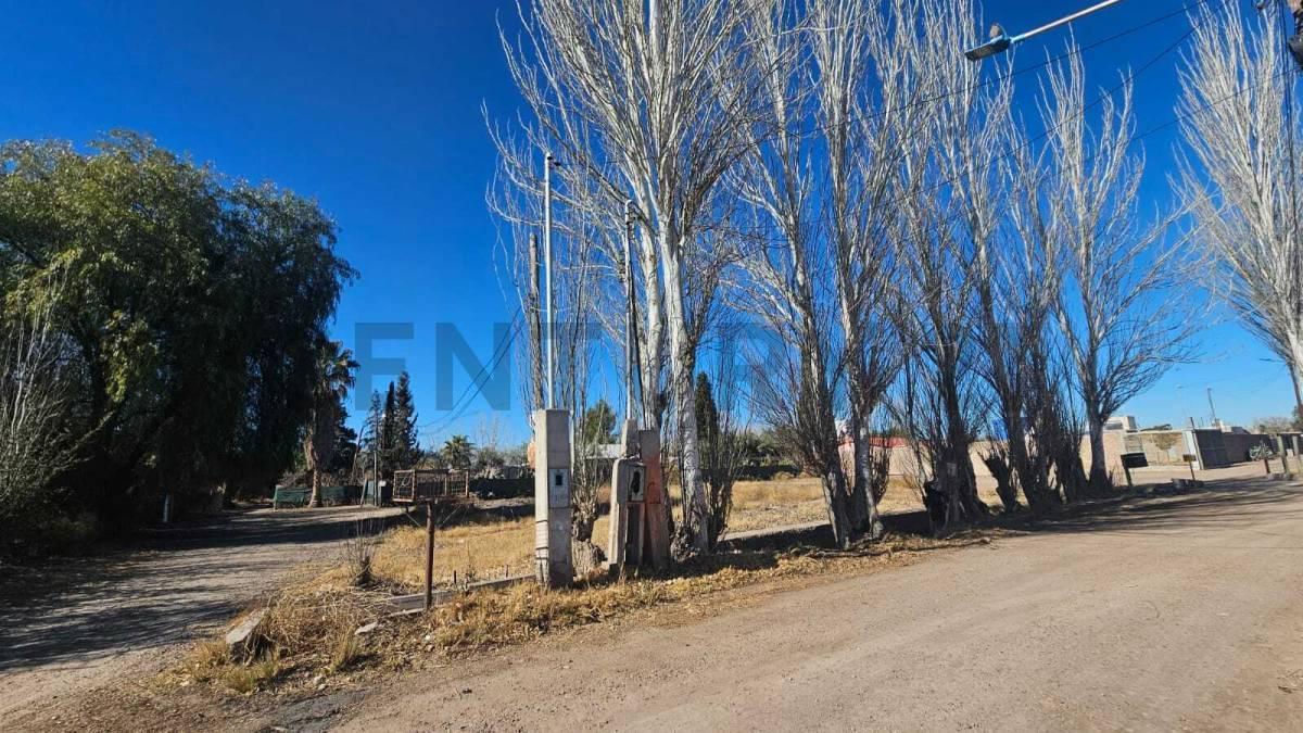 Foto de OPORTUNIDAD LOTE EN VENTA en SAN MARTIN Mendoza, imagen 5