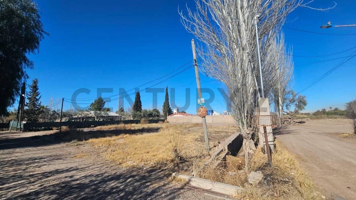 Foto de OPORTUNIDAD LOTE EN VENTA en SAN MARTIN Mendoza, imagen 2