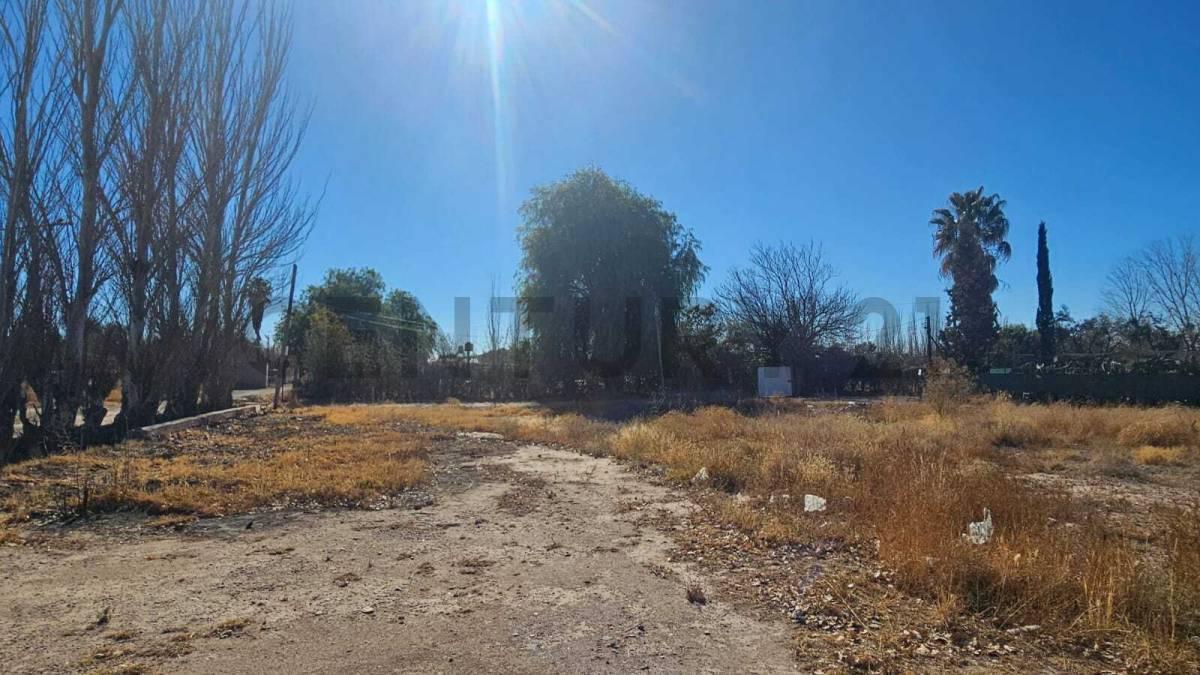 Foto de OPORTUNIDAD LOTE EN VENTA en SAN MARTIN Mendoza, imagen 4