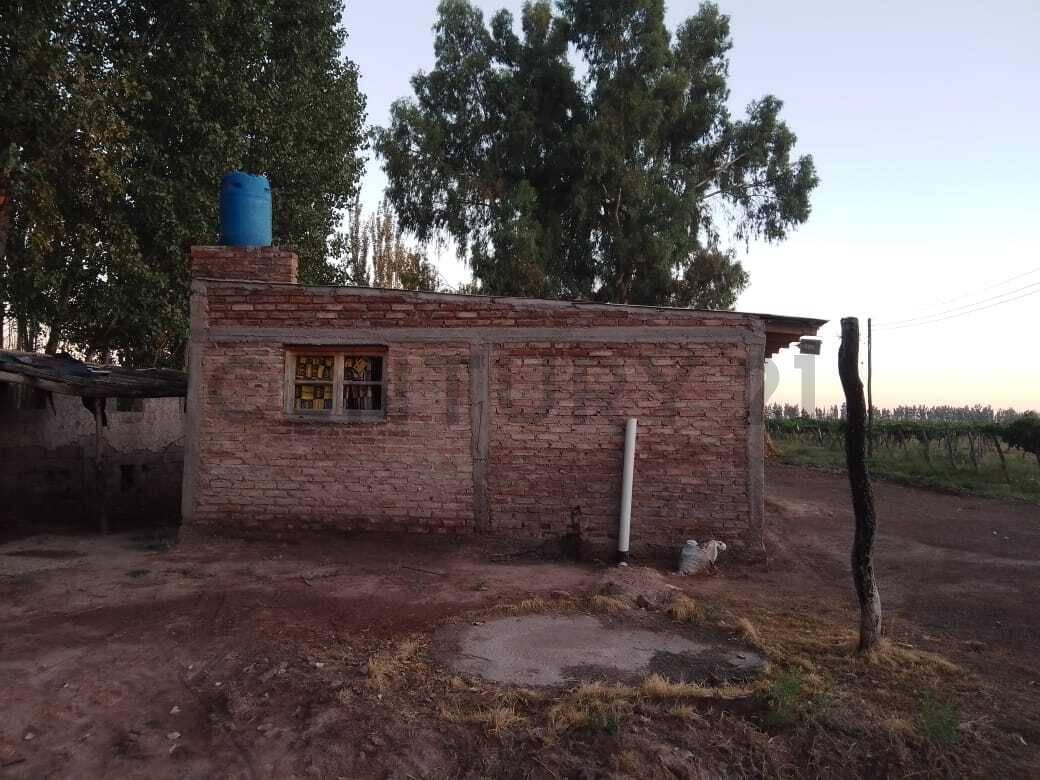 Foto de Finca productiva en venta., imagen 3
