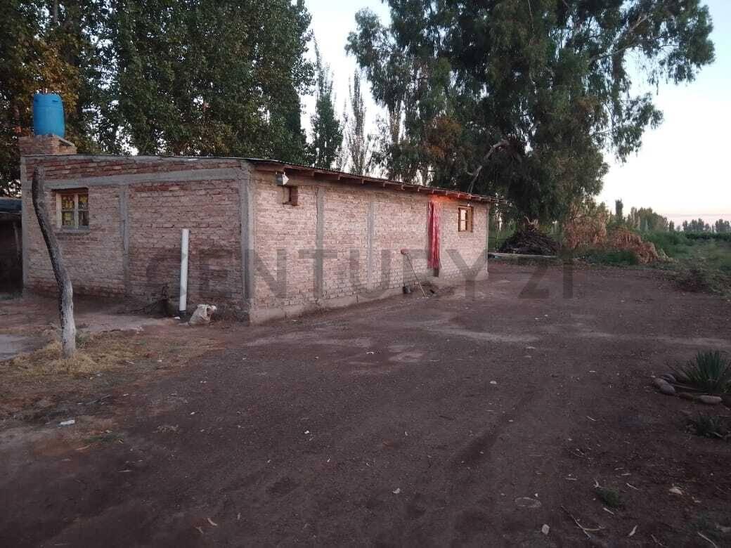 Foto de Finca productiva en venta., imagen 2