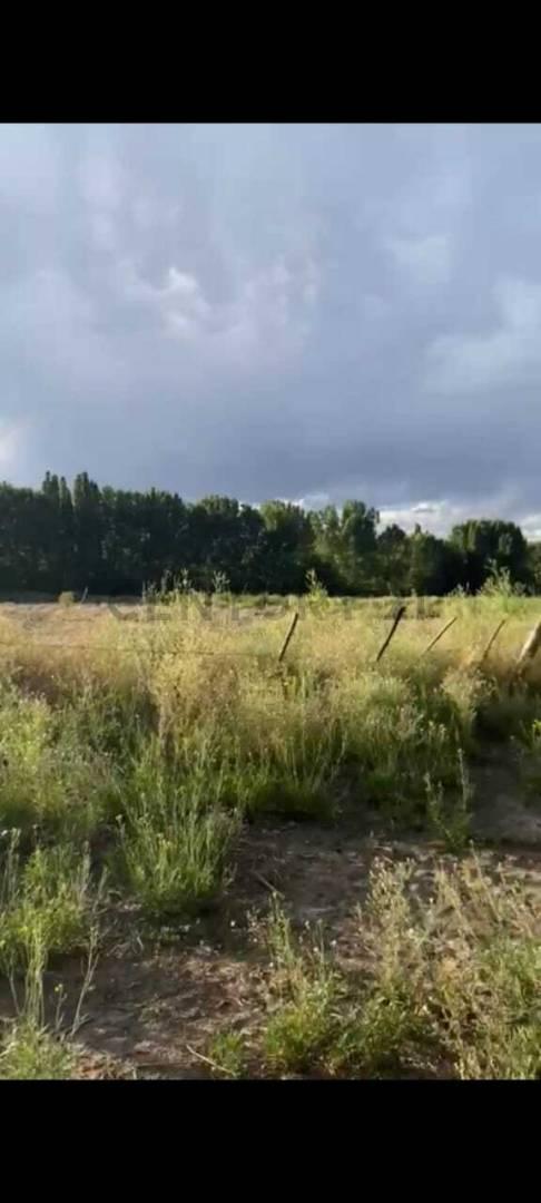 Foto de TERRENO USPALLATA, imagen 2