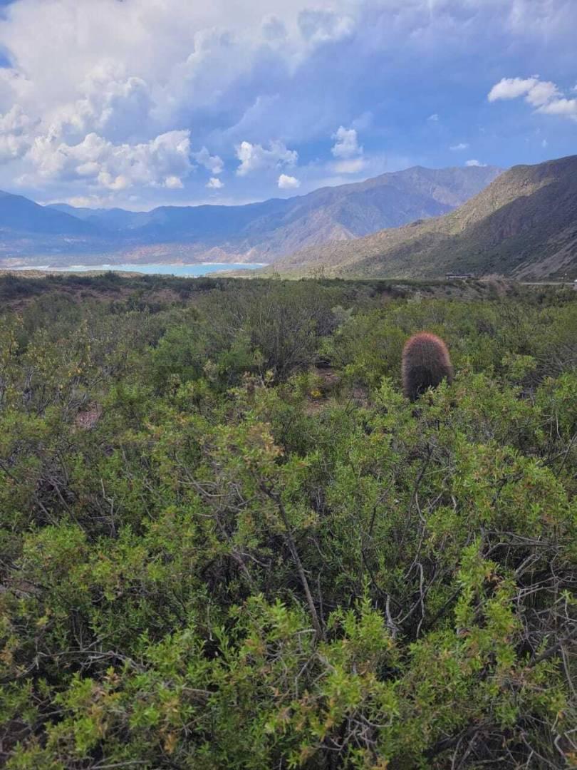 Foto de VENTA DE LOTE CON PROYECTO DE CABAÑAS EN POTRERILLOS MENDOZA, imagen 5