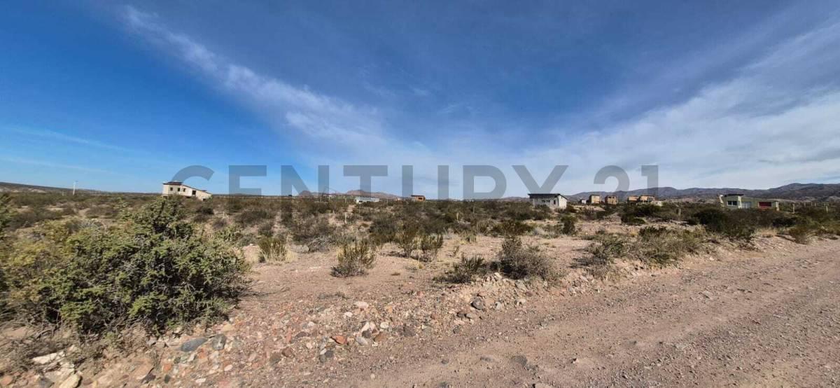 Foto de VENTA DE LOTE EN POTRERILLOS MENDOZA, imagen 5