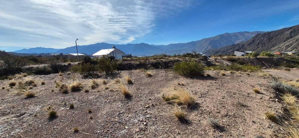 Foto de VENTA DE LOTE EN POTRERILLOS MENDOZA, imagen 3