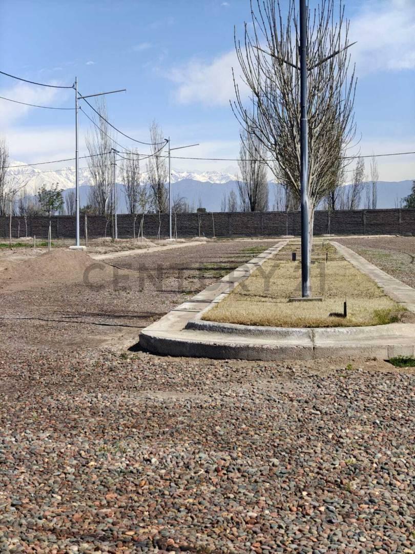 Foto de LOTE EN VENTA ALAMOS BARRIO PRIVADO, imagen 4