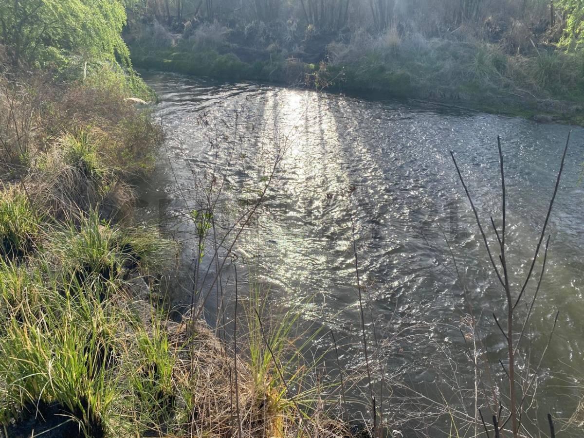 Foto de FINCA EN VENTA SAN CARLOS, imagen 4