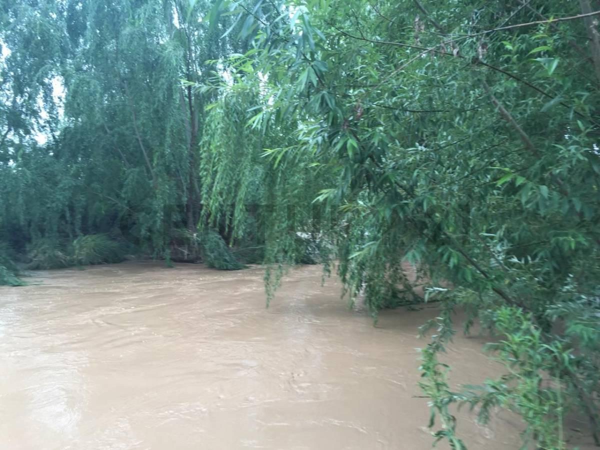 Foto de FINCA EN VENTA SAN CARLOS, imagen 3