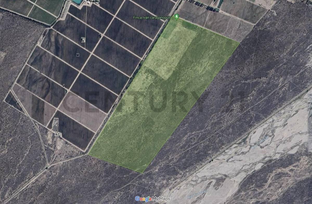Foto de Campo en venta, imagen 3