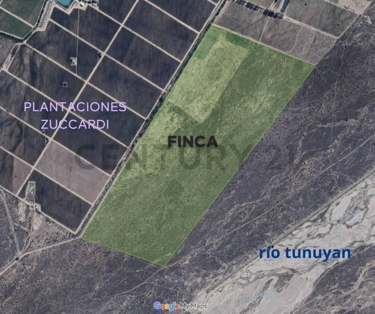 Foto de Campo en venta, imagen 5