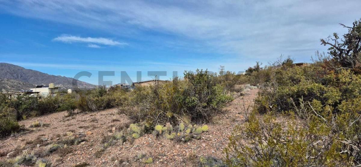 Foto de VENTA DE LOTE EN POTRERILLOS, LUJAN DE CUYO, MENDOZA, imagen 5