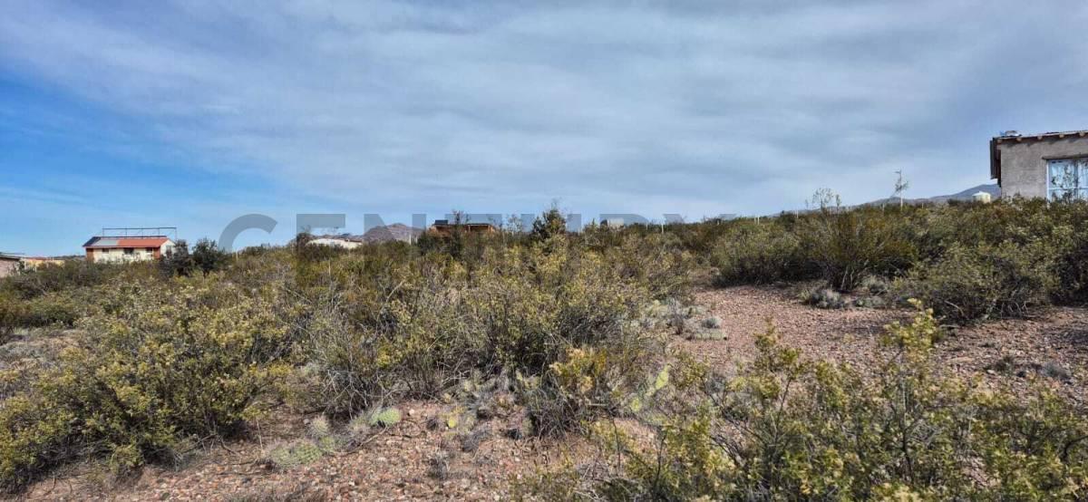 Foto de VENTA DE LOTE EN POTRERILLOS, LUJAN DE CUYO, MENDOZA, imagen 3