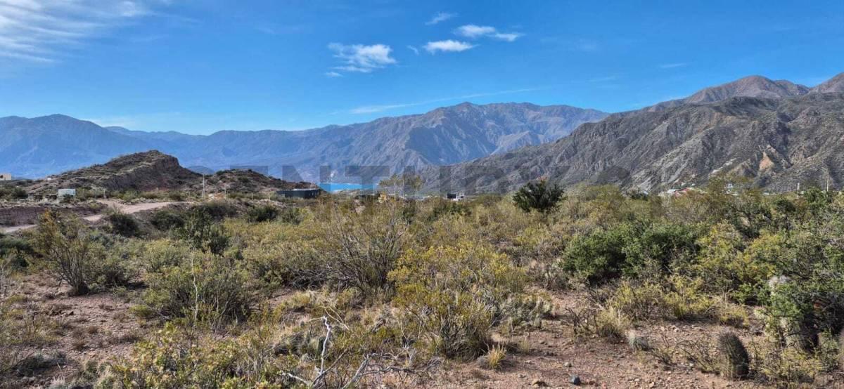 Foto de VENTA DE LOTE EN POTRERILLOS MENDOZA, imagen 4