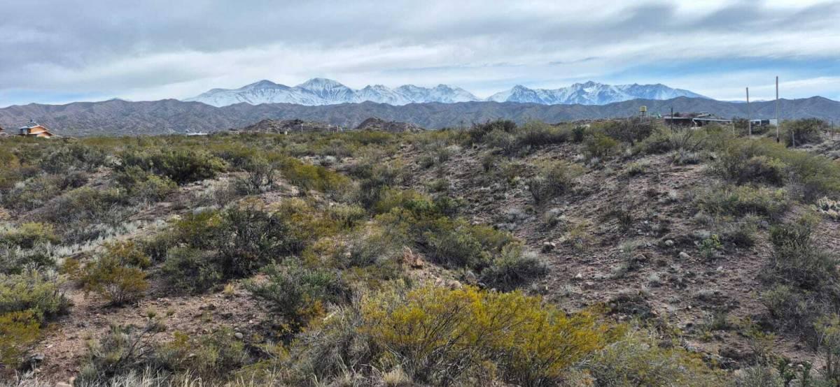 Foto de VENTA DE LOTE EN POTRERILLOS MENDOZA, imagen 5