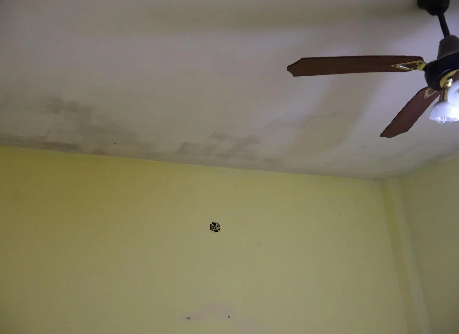 Casa | Venta | Local Comercial | Apto Credito | Jose C. Paz | Financiado 5