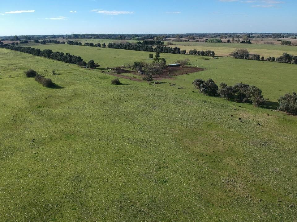 Foto de Campo en venta General Rodriguez, imagen 5