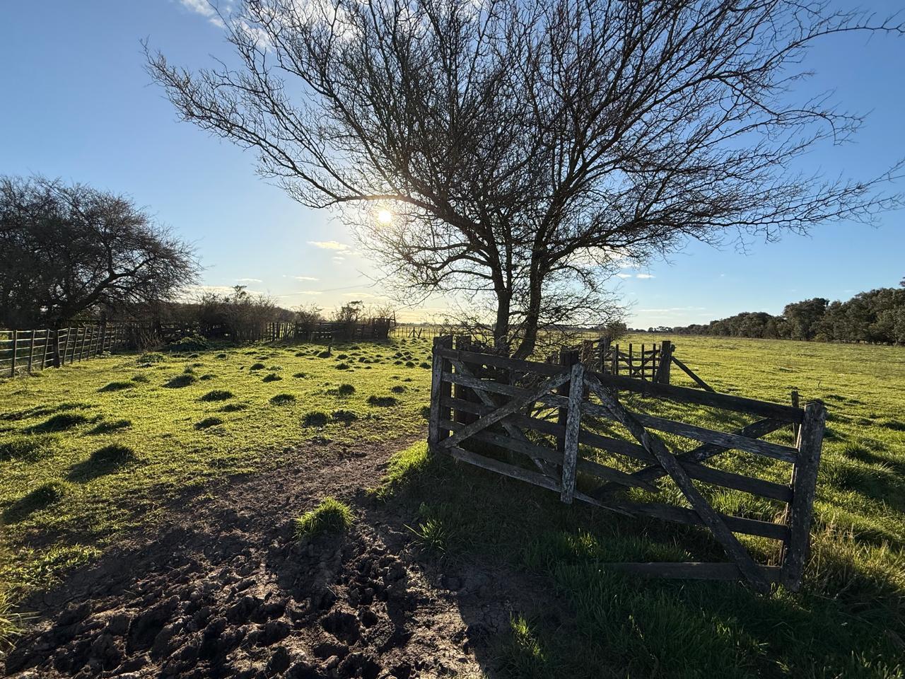 Foto de Campo en venta General Rodriguez, imagen 3