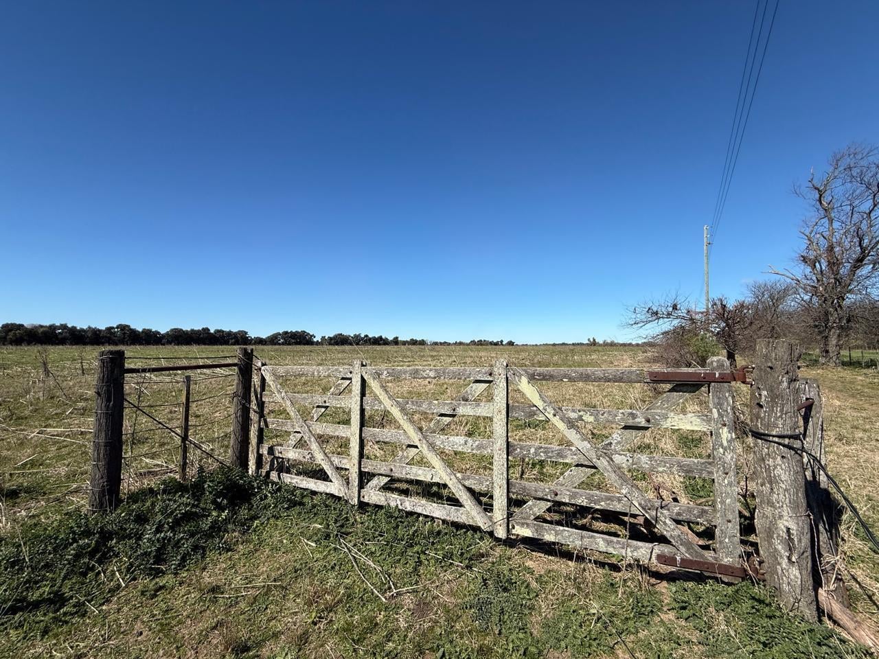 Foto de Campo en venta General Rodriguez, imagen 2