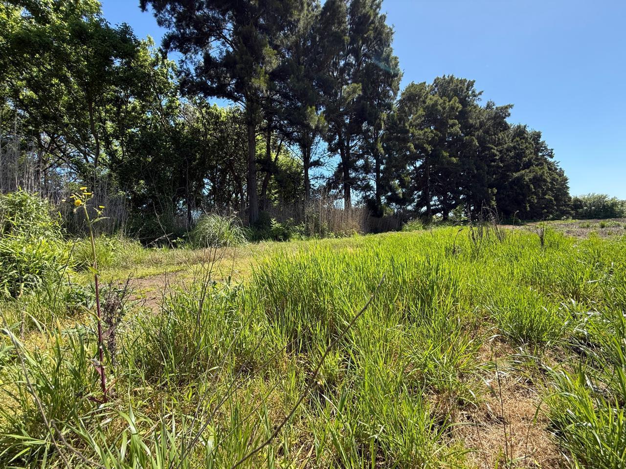 Foto de Campo en venta - General Rodriguez, imagen 5