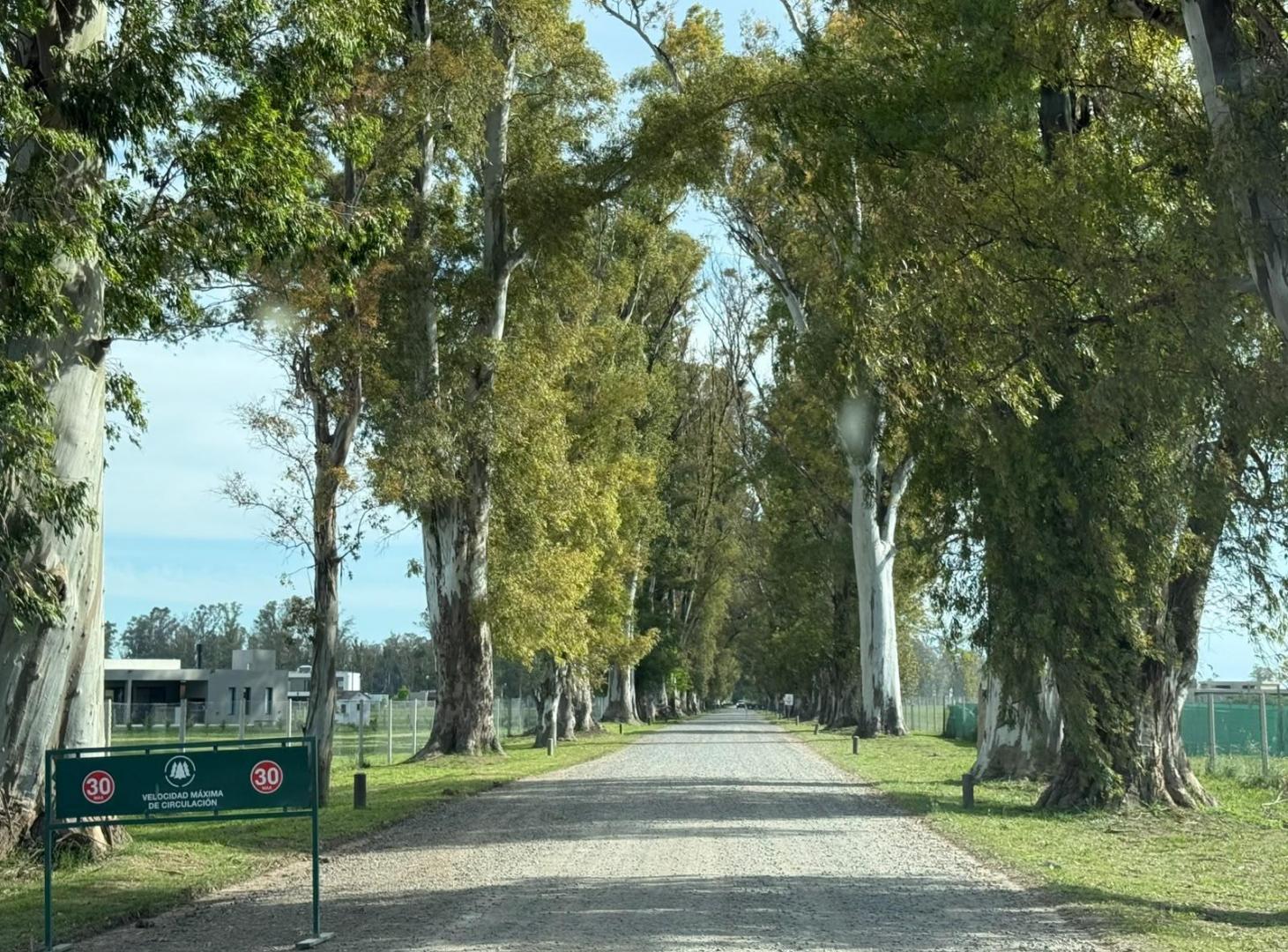 Foto de Venta de terreno - Los Tres Pinos, imagen 4
