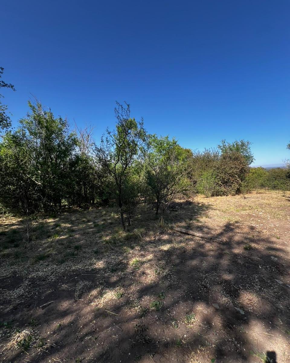 Venta de Terrenos en Santa Rosa de Calamuchita, con Bajada Al Rio 5