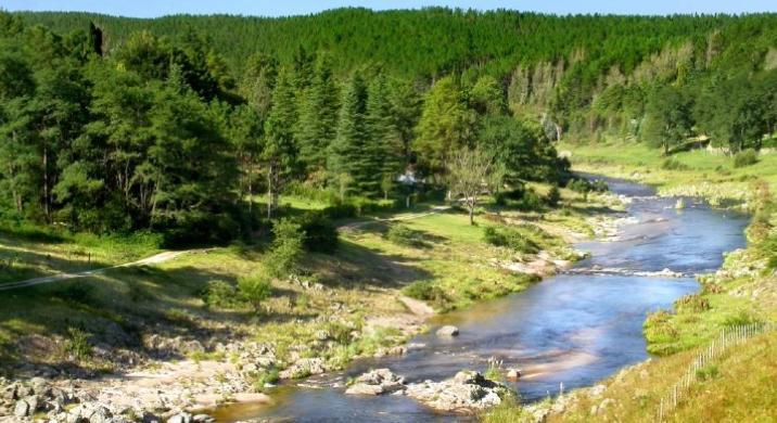 Lote en Venta - Los Reartes, Calamuchita, Córdoba 3