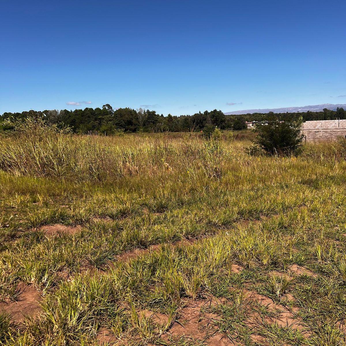 En Venta 2 Lotes en Los Reartes - Bº Las Felicitas 4